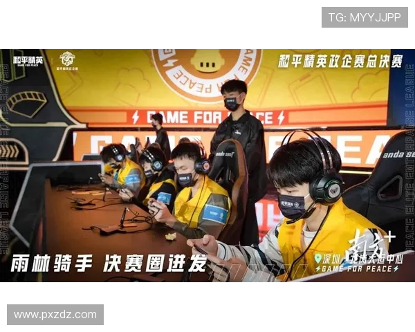 和平精英专题深入分析RNG战队的快速崛起与战术创新之路